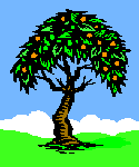 ORANJ logo -- orange tree